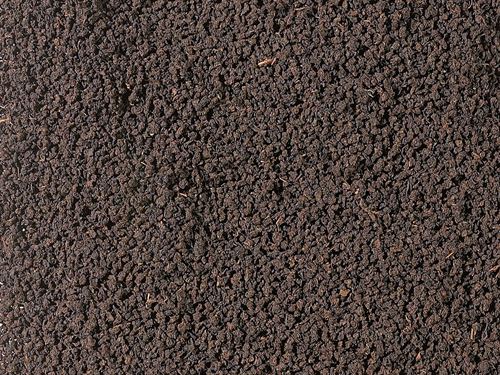 Té Negro Mozambique - La Tienda del Té