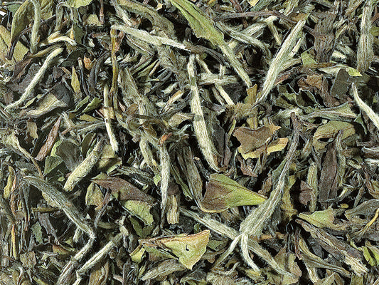 Té blanco Pai Mu Tan