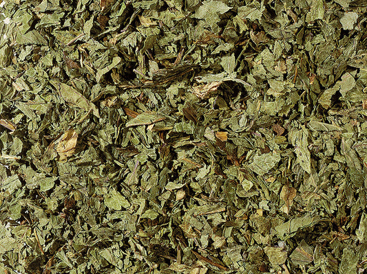 Infusión Regaliz