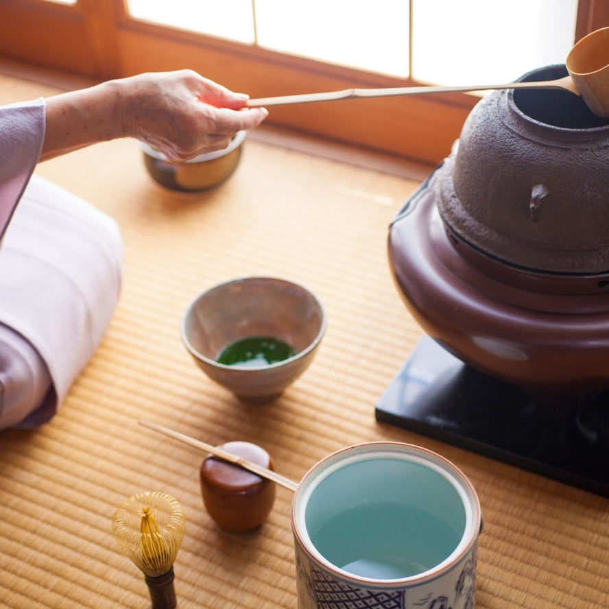 Matcha Ceremonial Jengibre