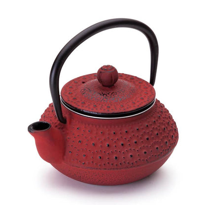 Hanoi Cast Iron Teapot