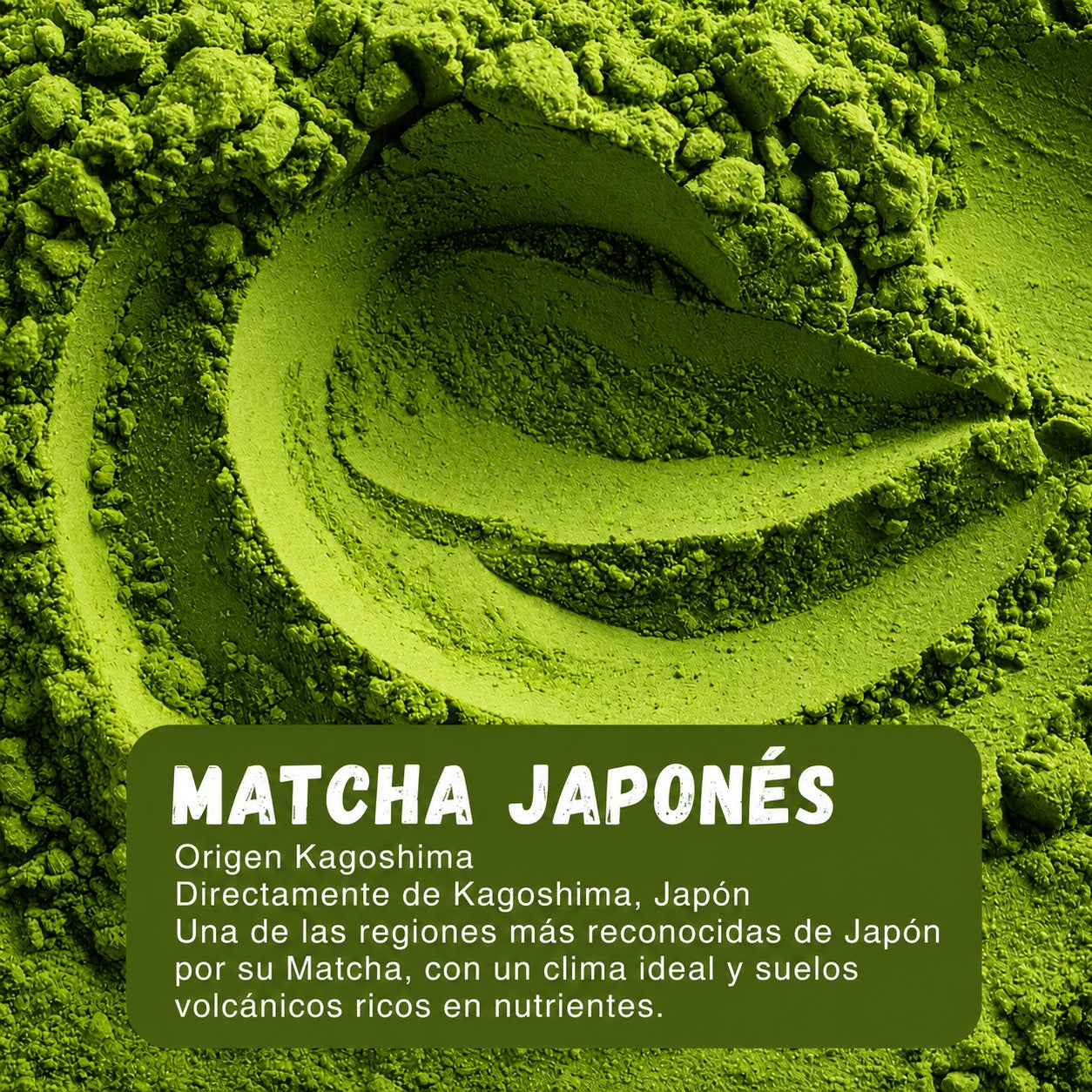 Matcha Colágeno Japones