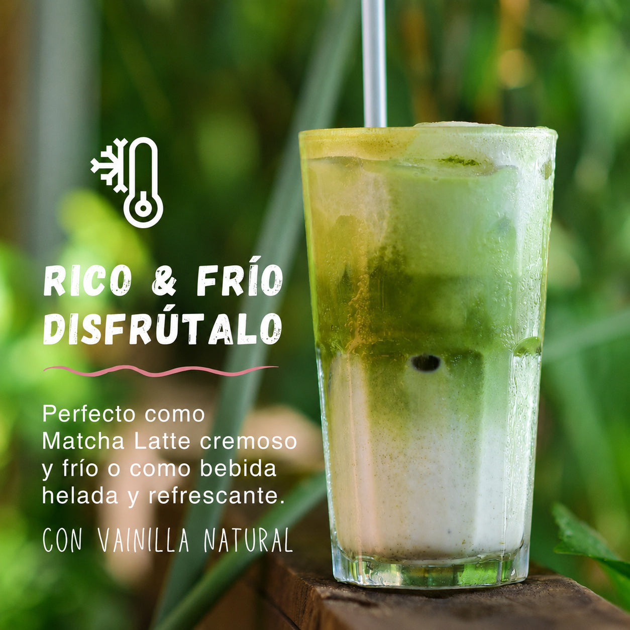 Matcha Colágeno Japones